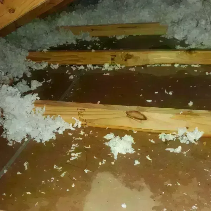 Attic Water Damage in Guadalupe County, TX